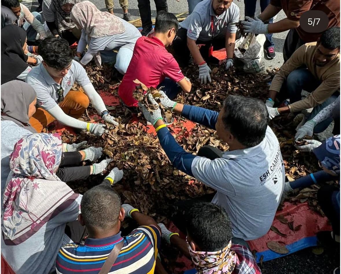 SUSTAINBILITY & ESG PROGRAMMES